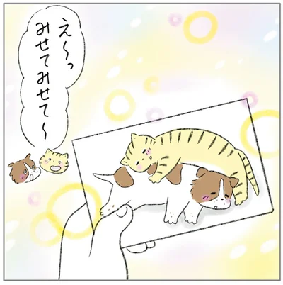 『ターとアグのしあわせ日和 元ノラ猫と元保護犬、ふたりは親友』より