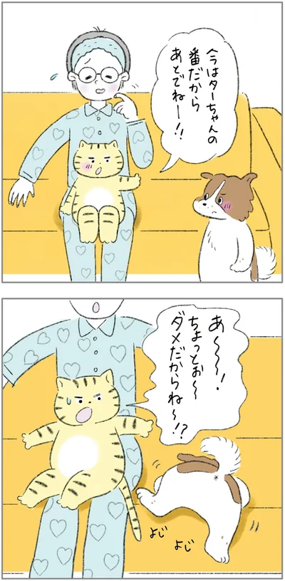 『ターとアグのしあわせ日和 元ノラ猫と元保護犬、ふたりは親友』より
