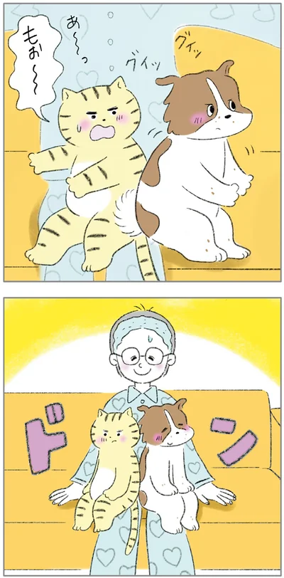 『ターとアグのしあわせ日和 元ノラ猫と元保護犬、ふたりは親友』より
