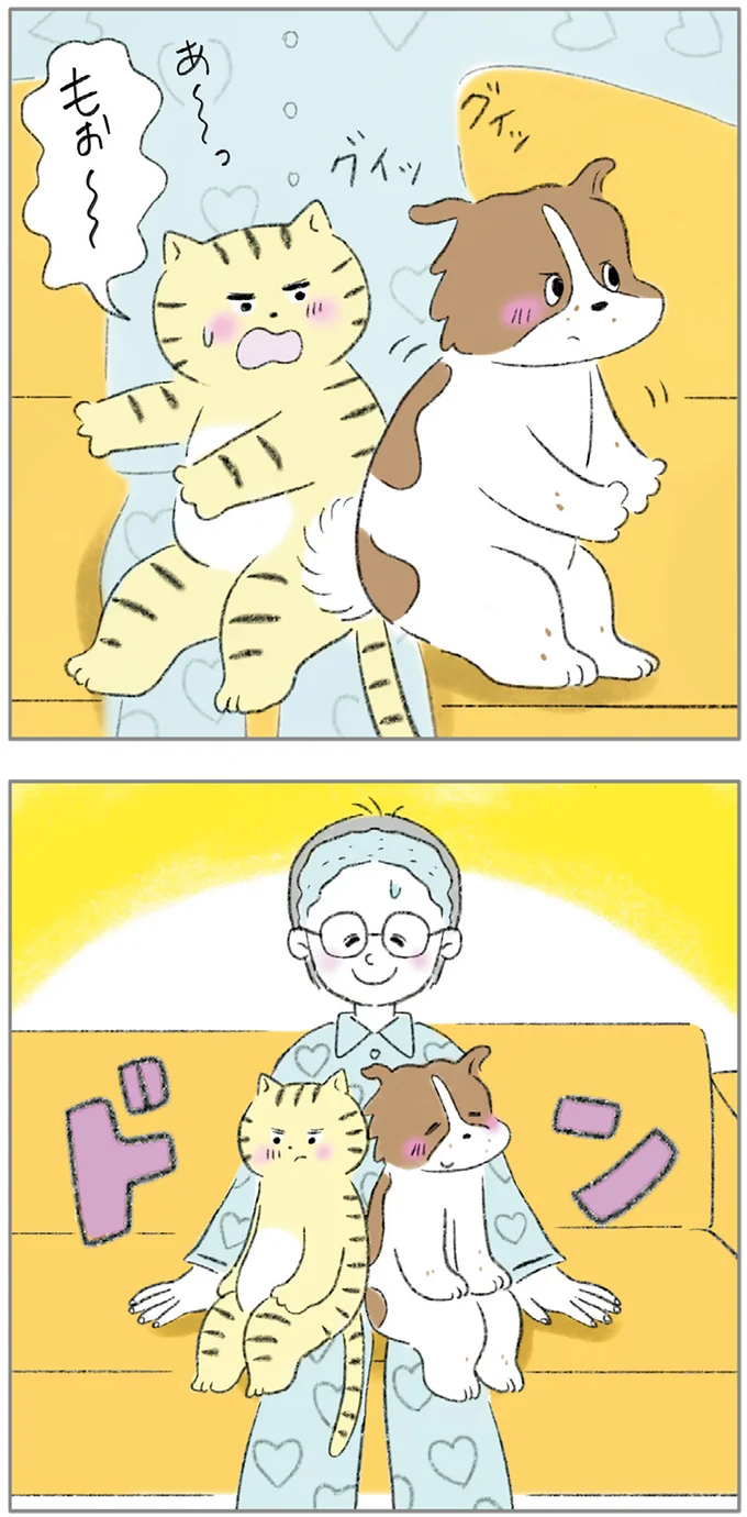 『ターとアグのしあわせ日和 元ノラ猫と元保護犬、ふたりは親友』より