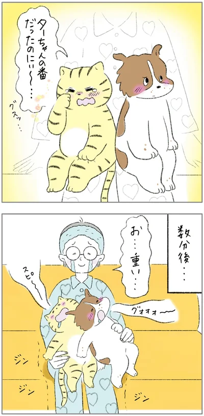 『ターとアグのしあわせ日和 元ノラ猫と元保護犬、ふたりは親友』より