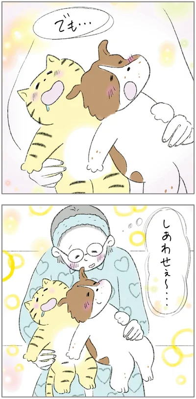 『ターとアグのしあわせ日和 元ノラ猫と元保護犬、ふたりは親友』より