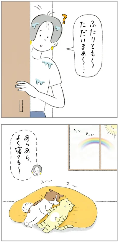 『ターとアグのしあわせ日和 元ノラ猫と元保護犬、ふたりは親友』より