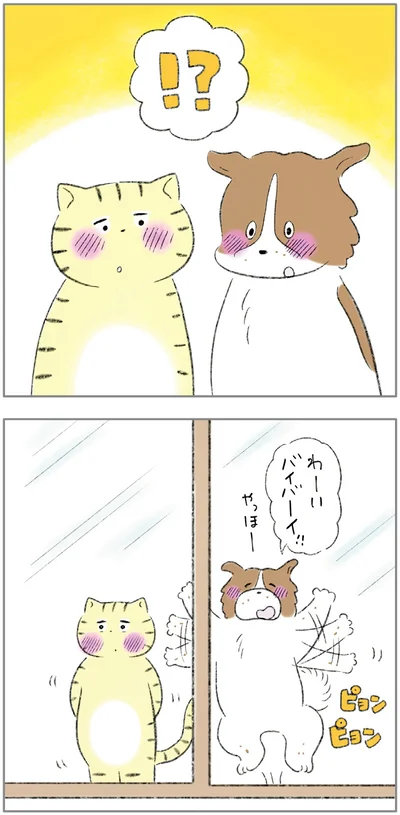 『ターとアグのしあわせ日和 元ノラ猫と元保護犬、ふたりは親友』より