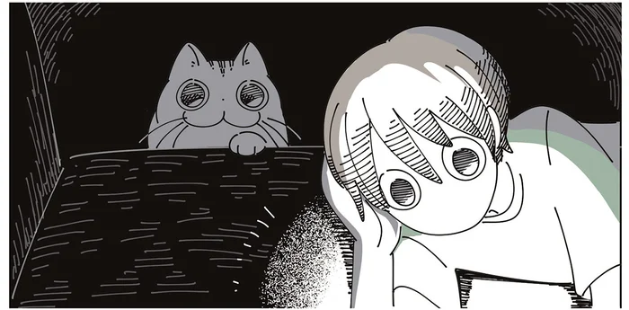 真っ暗な部屋でのドッキリ!? 猫がいるのは分かっていたのに驚いた瞬間