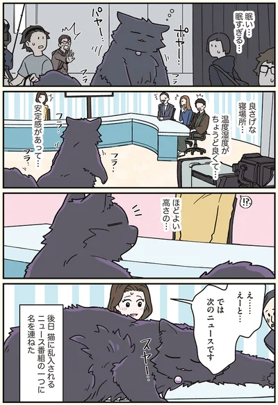 『ブラック企業の社員が猫になって人生が変わった話7 くろべぇの場合』より