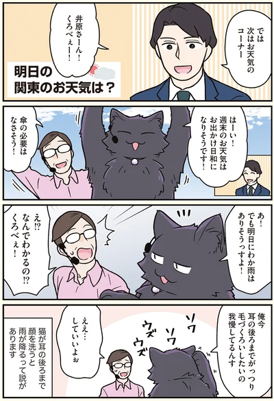 『ブラック企業の社員が猫になって人生が変わった話7 くろべぇの場合』より