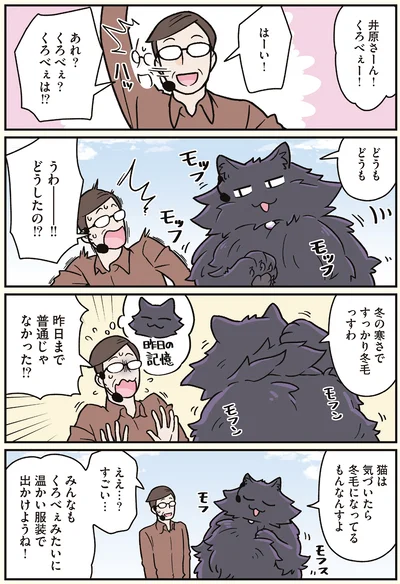 『ブラック企業の社員が猫になって人生が変わった話7 くろべぇの場合』より