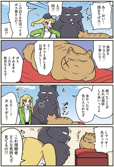 『ブラック企業の社員が猫になって人生が変わった話7 くろべぇの場合』より