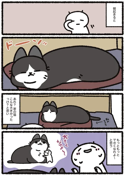 『あっち こっち ネッチ！』より