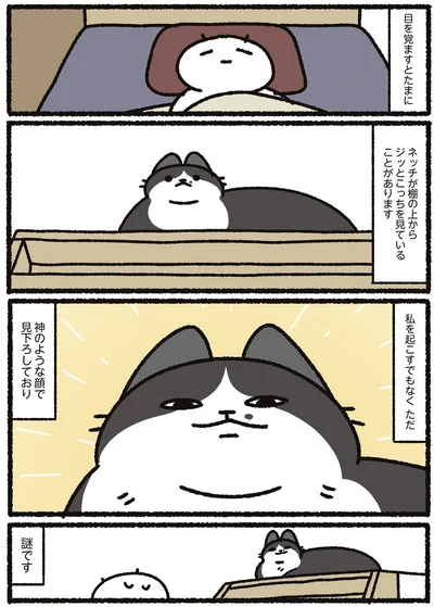 『あっち こっち ネッチ！』より