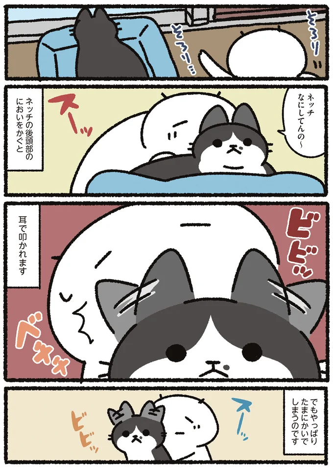 『あっち こっち ネッチ！』より