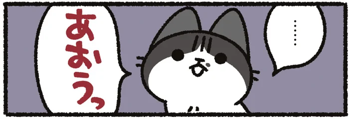 猫からのお叱りを受けた！ 「ちょっと待ってね」が多発すると起こる出来事