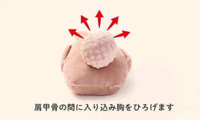 肩甲骨の間に入り込み、丸まった姿勢を自然に整えて胸を広げる効果も
