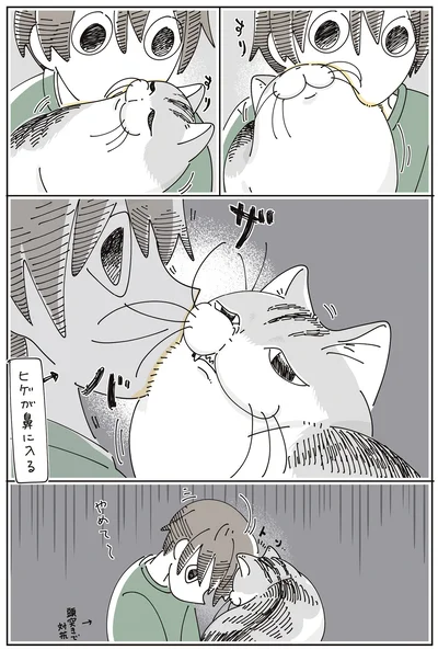 ヒゲが鼻に…