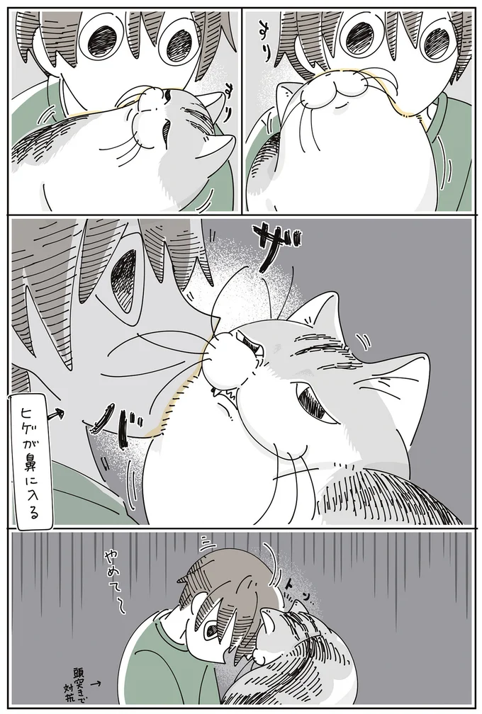 ヒゲが鼻に…