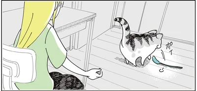 猫じゃらし…？