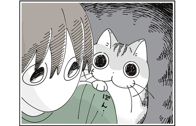 突然の肩ポン。ついてきてほしそうにする猫のあとを追うか悩みます