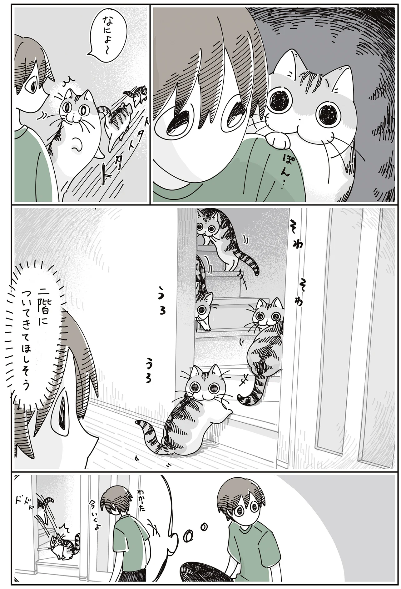 突然の肩ポン。ついてきてほしそうにする猫のあとを追うか悩み