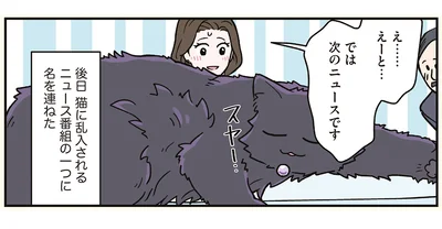 猫に乱入されるニュース番組に