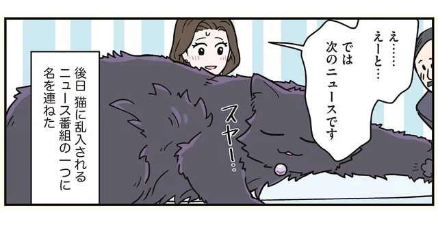 ニュース番組に巨大な猫が乱入！ あっという間に人気コンテンツとなりました