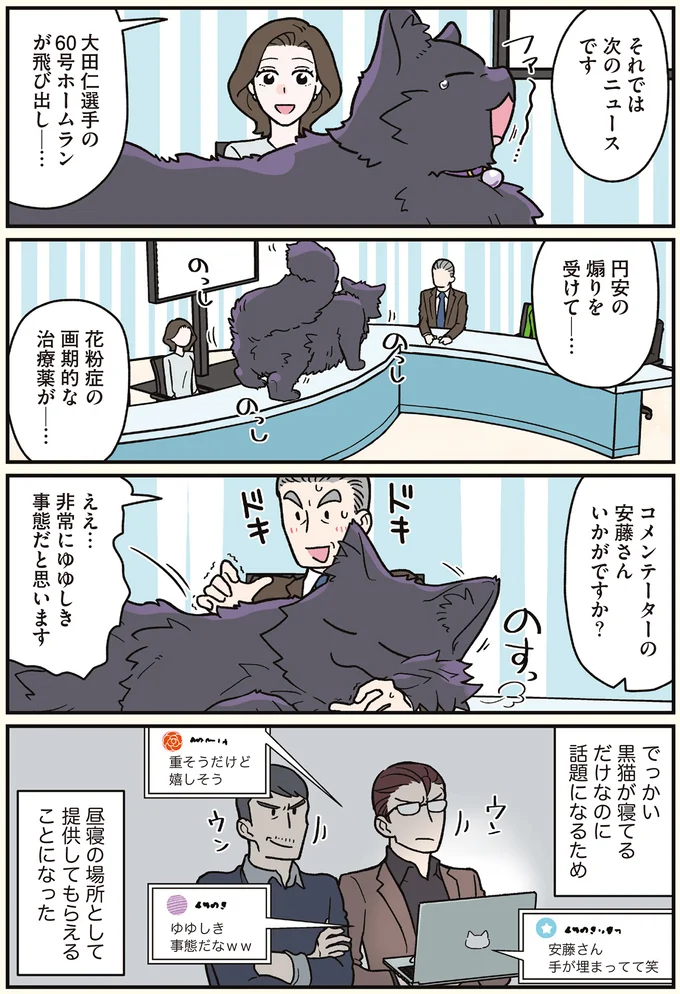 昼寝の場所として提供してもらえることになった