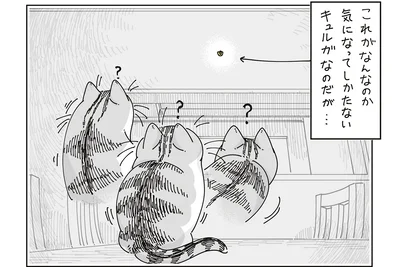 気になってしかたない