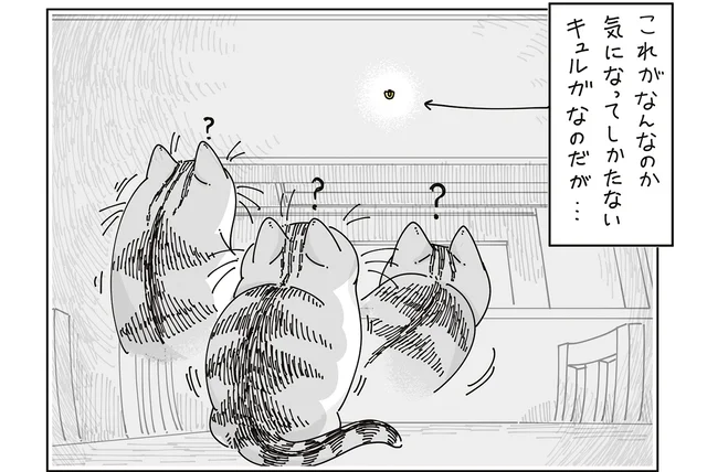 気になって仕方がない「謎の存在」。時計の裏をひたすら気にする猫