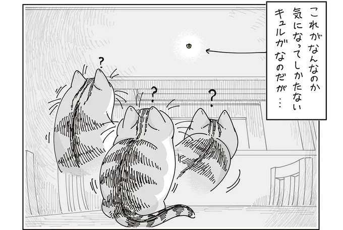 気になってしかたない