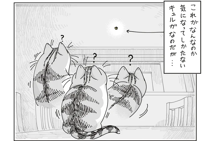 気になって仕方がない「謎の存在」。時計の裏をひたすら気にする猫