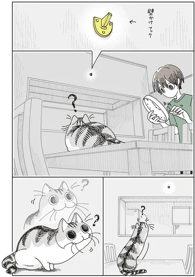 壁かけフックが気になる…