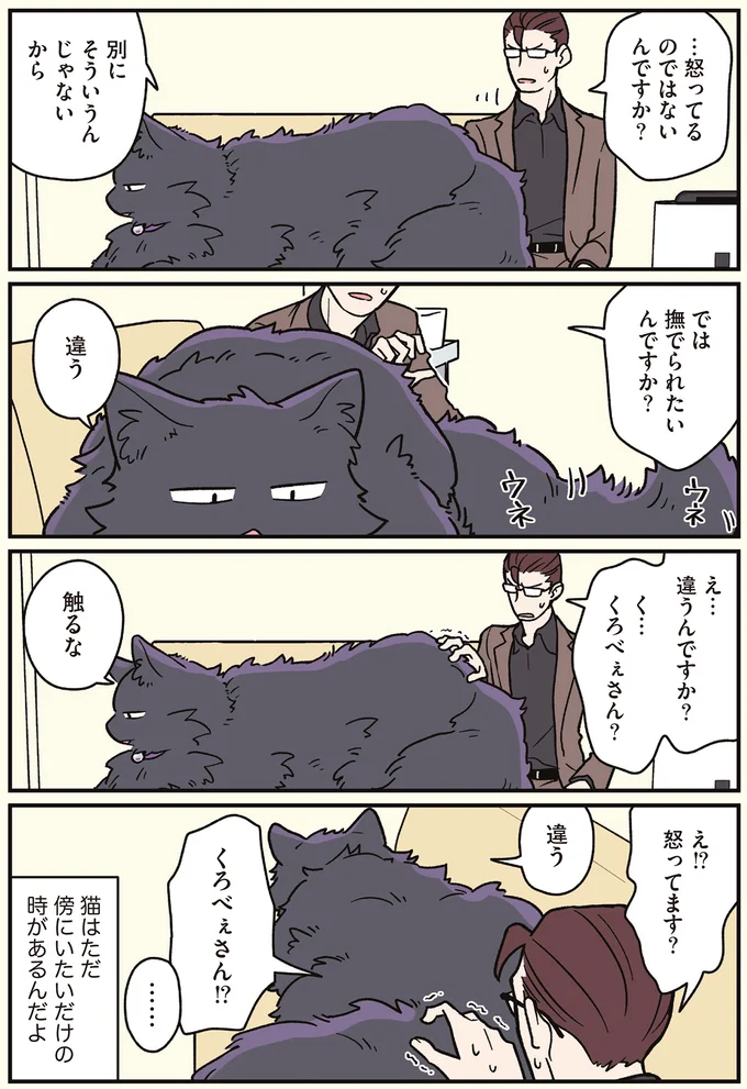 猫はただ傍にいたいだけの時があるんだよ