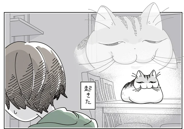 なぜか起きちゃう！ 寝ててもいいのに近くにきてくれる猫