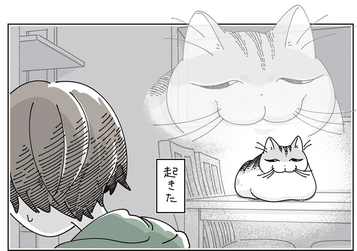 なぜか起きちゃう！ 寝ててもいいのに近くにきてくれる猫