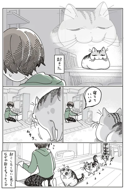 起きた…