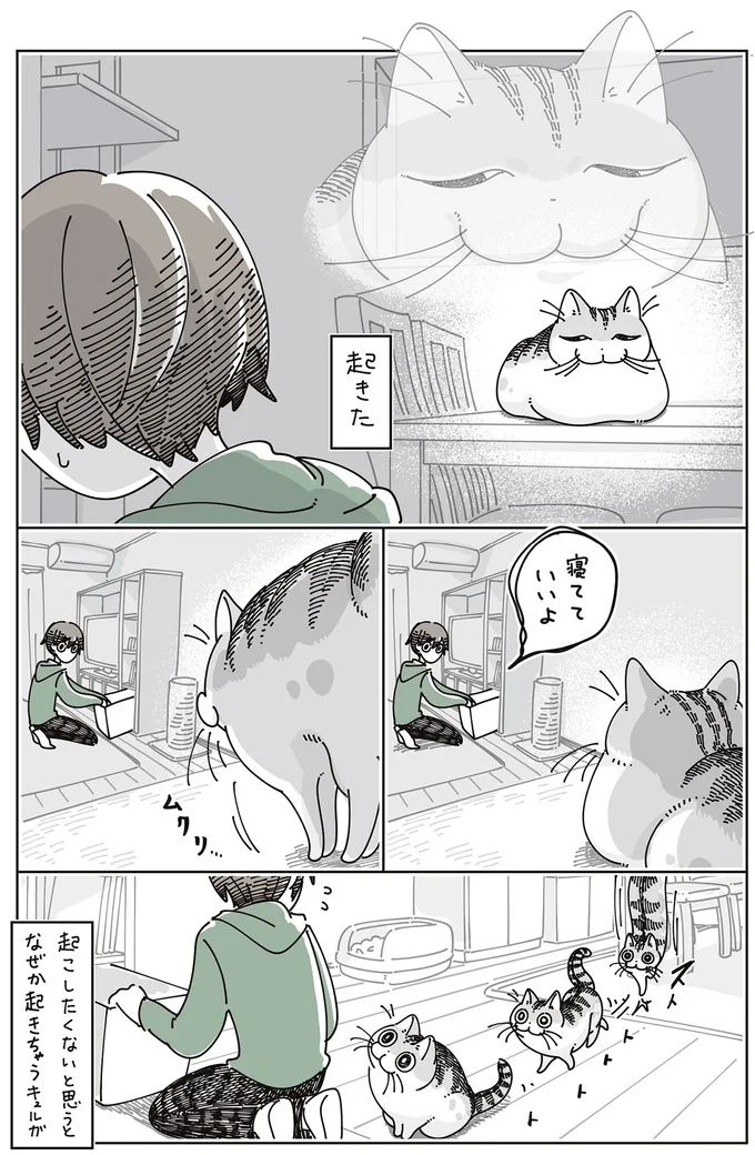 起きた…