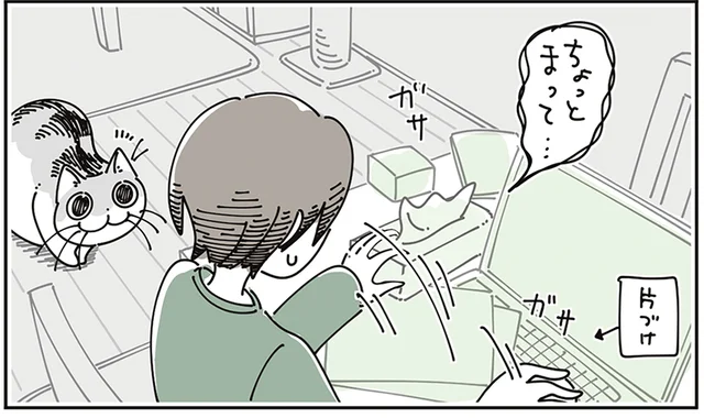 「ちょっとまって」片付けられていない机に飛び乗ろうとする猫