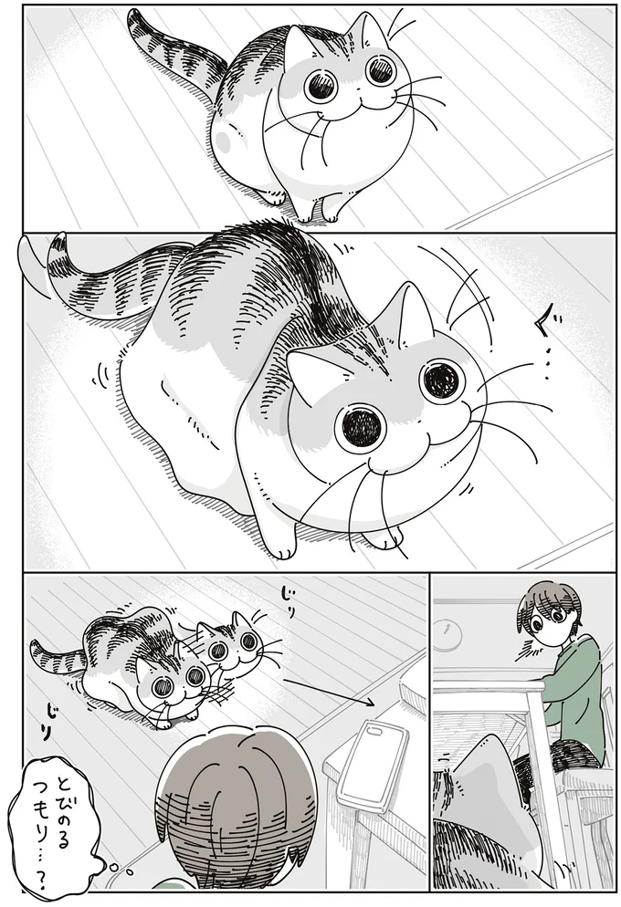 とびのるつもり…？