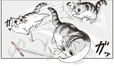 ペンと遊ぶ猫