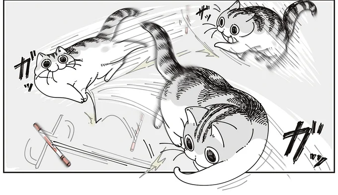 ペンと遊ぶ猫