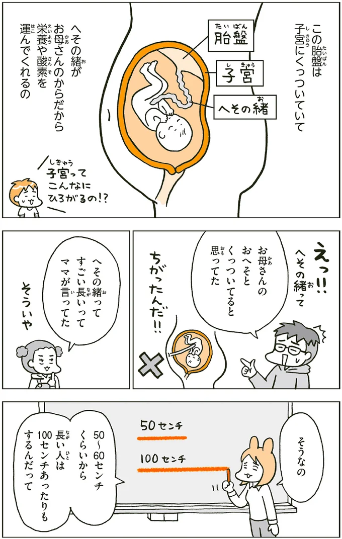 へその緒ってすごい長いってママが言ってた