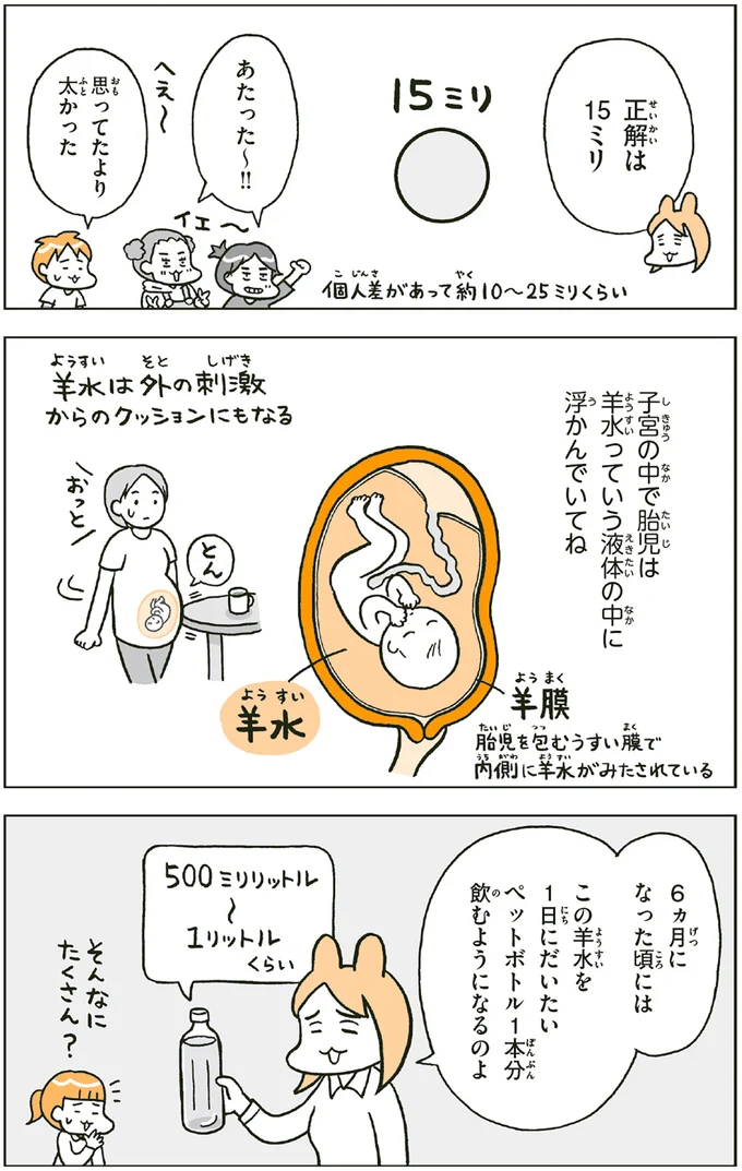 思ってたより太かった