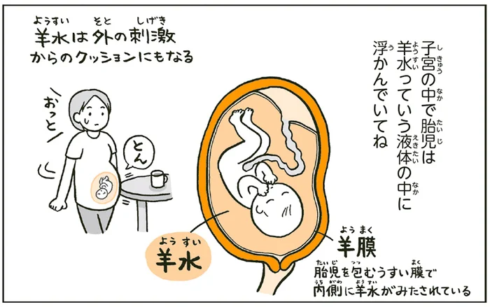 子宮のしくみ、へその緒の太さ。小学2年生がふりかえる「生まれてきたときのこと」／こどもせいきょういくはじめます（4）