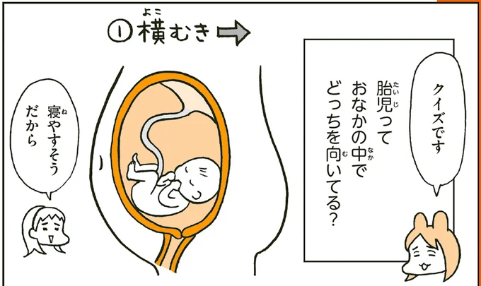 胎児っておなかの中でどっちを向いてる?