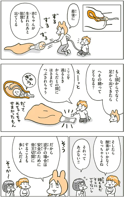へその緒ってどうなる？