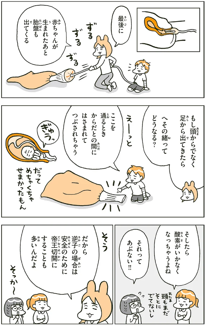 へその緒ってどうなる？