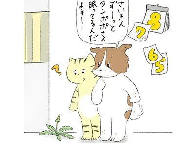 さいきんずーっと眠ってるんだよネー