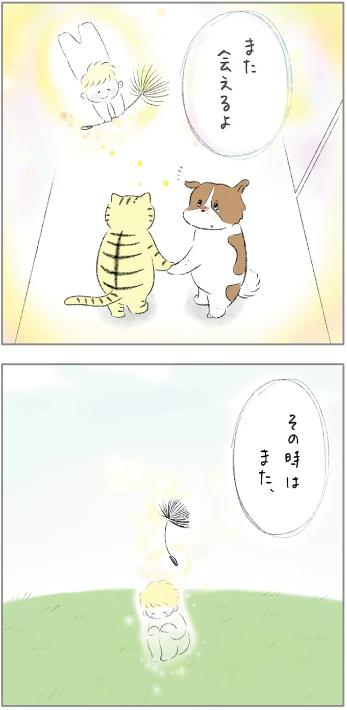 また会えるよ