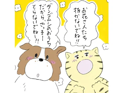 お花さんたち抜かないででね！！
