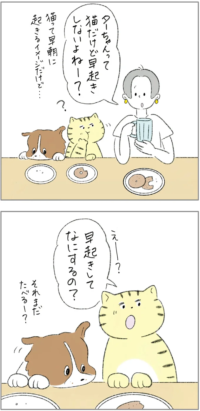 ターちゃんって猫だけど早起きしないよねー？？